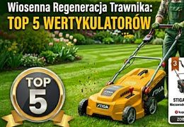 Wertykulacja trawnika na wiosnę : Eksperckie porady i Ranking TOP 5 wertykulatorów